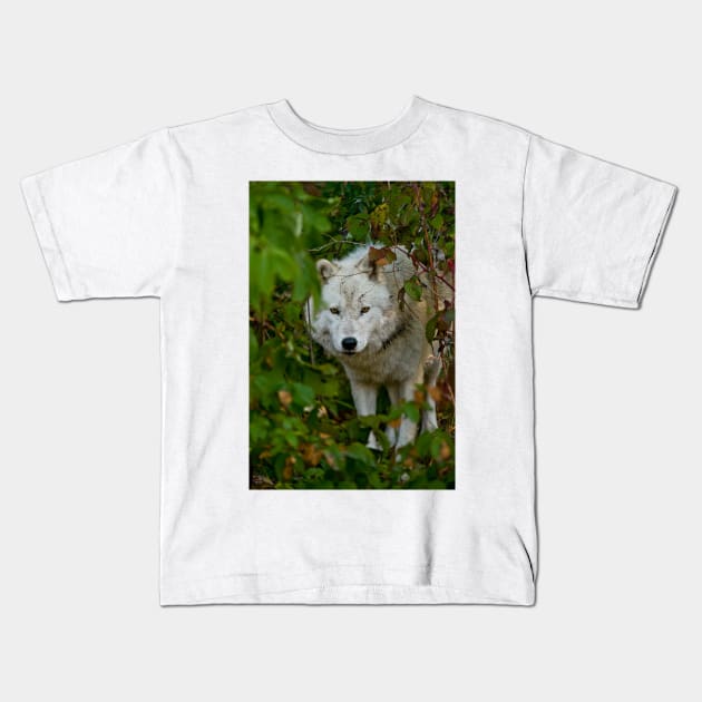 Arctic Wolf Kids T-Shirt by jaydee1400